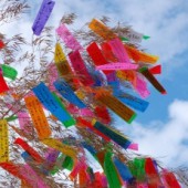 Lễ hội Thất tịch - Tanabata Matsuri
